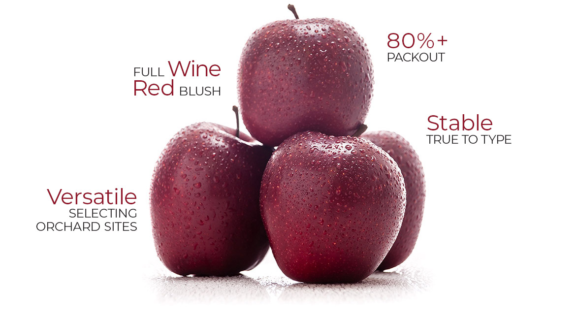 Bigbucks Gala is versatile when selecting orchard sites