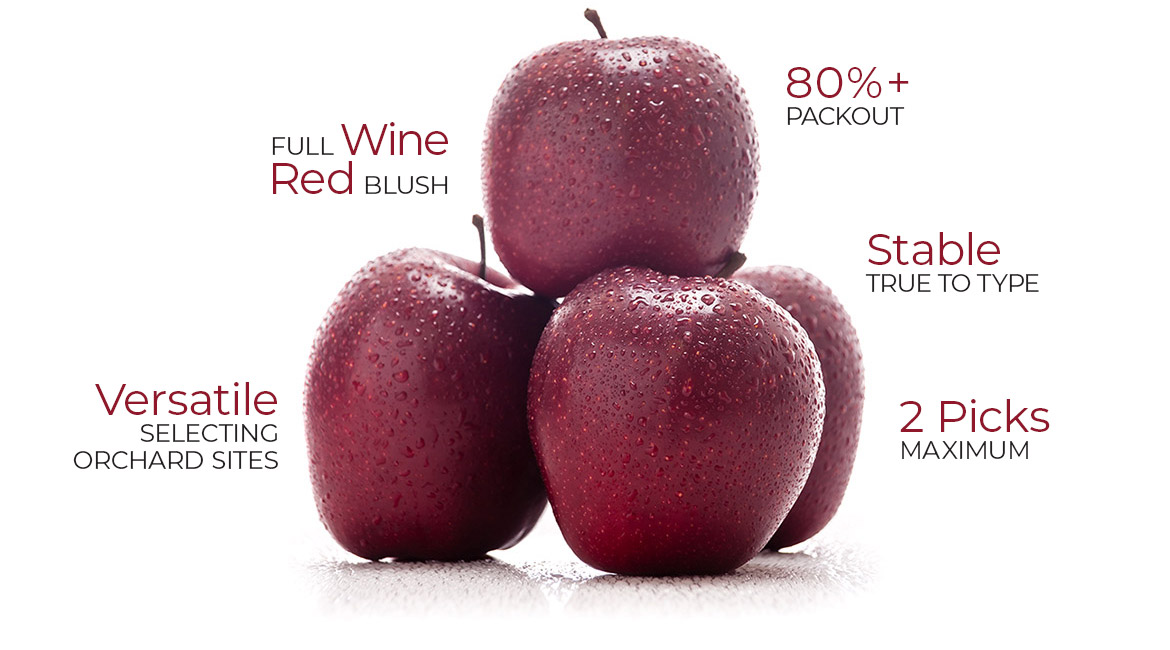 Bigbucks Gala trees can be harvested with maximum two picks